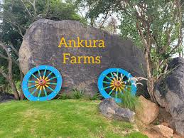 Managed Farmland in Hosur